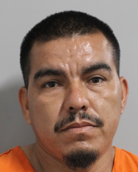 Mugshot of JOSE MAXSIMINO AVILA ZAMARRIPA