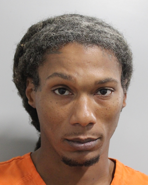 Mugshot of TEVIN GRANT