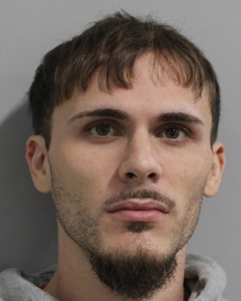 Mugshot of MYLES CHRISTIAN NIEVES