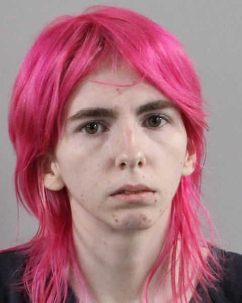 Mugshot of MADISON M HART