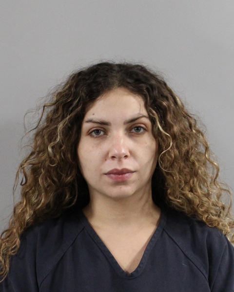 Mugshot of DIMA AHMAD SHEHADEH