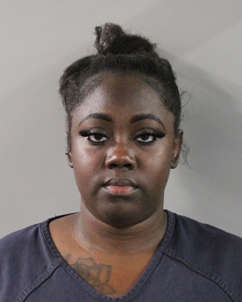 Mugshot of VANISHA RENEA RAGLIN