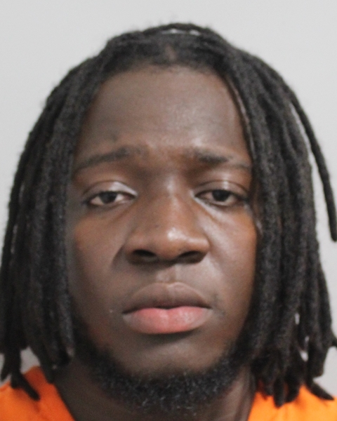 Mugshot of ROLPHE DALLY MERDJHY L PIERRE