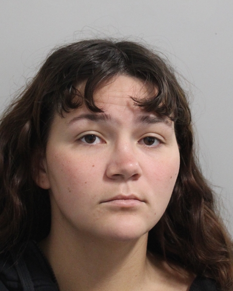 Mugshot of MONTANNA MEKINEY