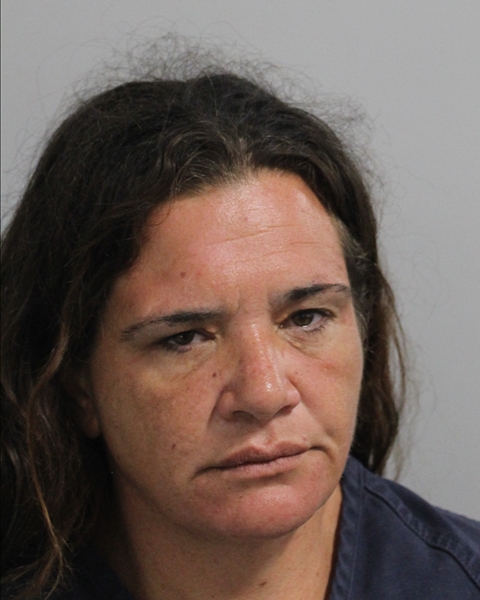 Mugshot of LISA NICOLE GASKINS