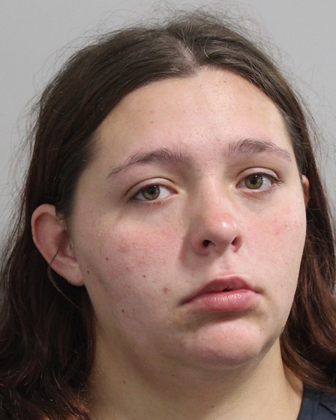 Mugshot of DANIELLE RENEE PETERSON
