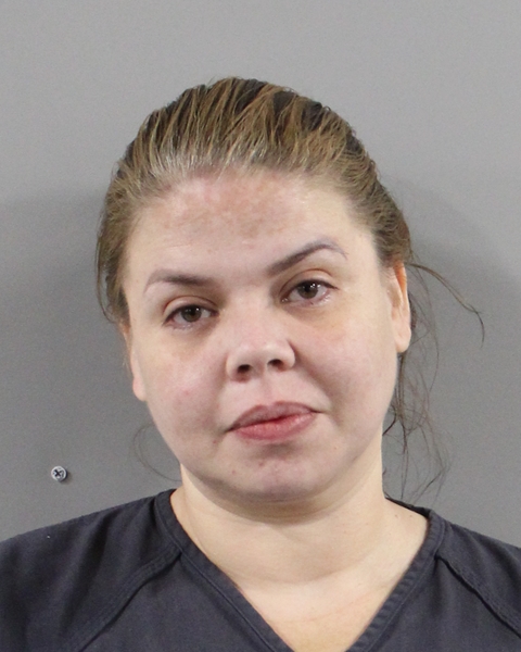 Mugshot of ROSA MARIA HERNANDEZ
