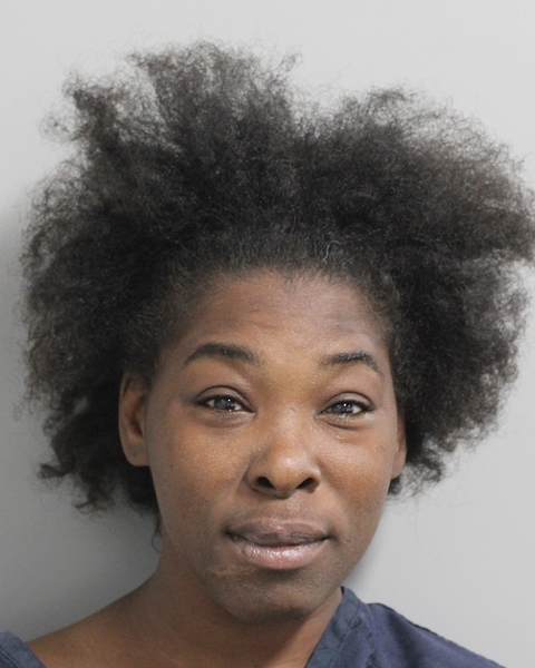 Mugshot of DONETTA SHEEN HEATH