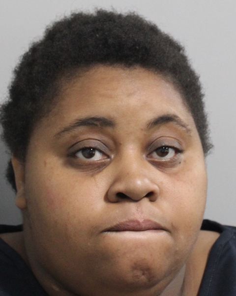 Mugshot of LAJERRICA FERRAL