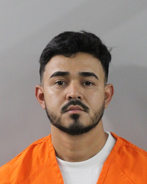 Mugshot of WILLIANS ENRIQUE GIRON-MEJIA