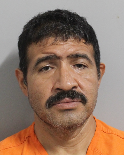 No mugshot available