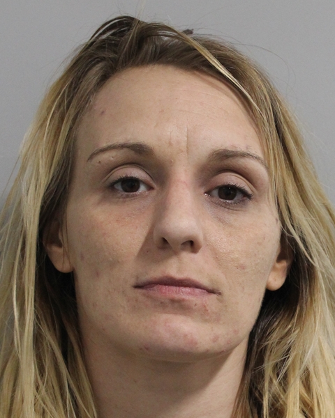 Mugshot of ASHLEY ANN GOFORTH