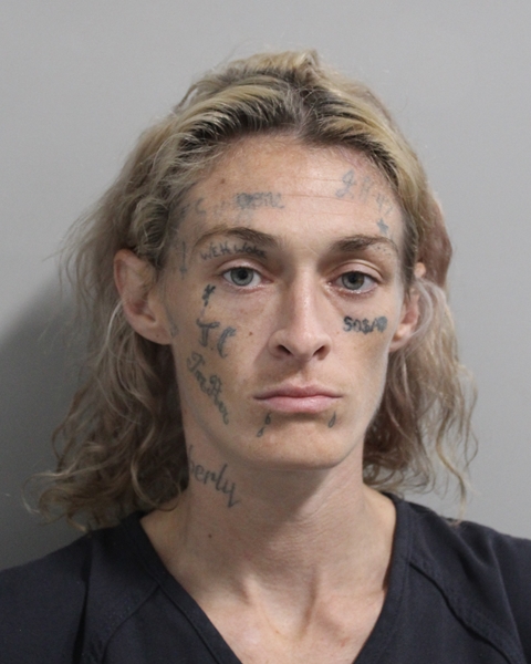 Mugshot of KARISSA ELIZABETH DAILY-ROACH