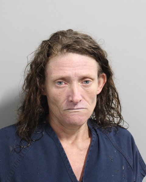 Mugshot of BOBBIE JO BOST