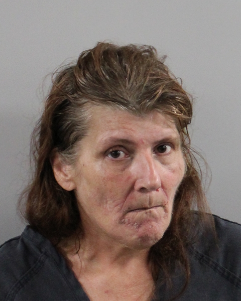 Mugshot of ELAINE BAGY