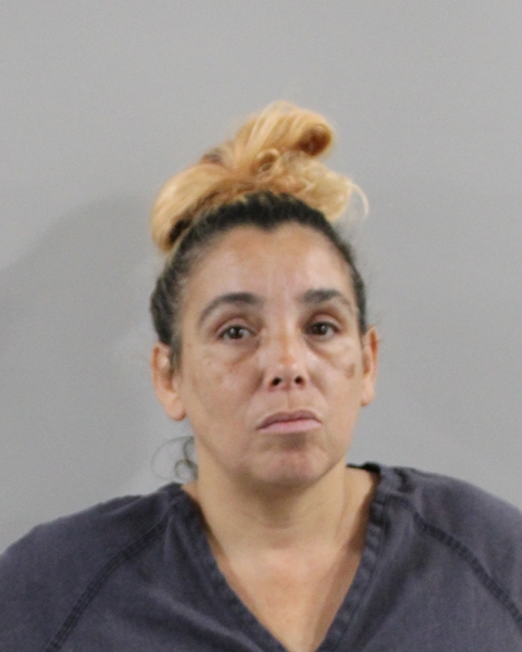 Mugshot of DORIS GONZALEZ