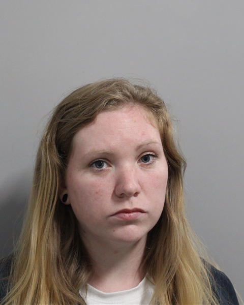 Mugshot of REBECCA LYN WILLIAMS