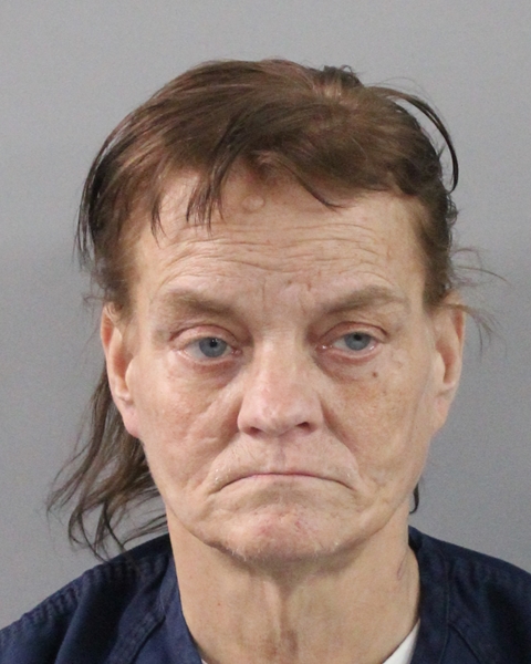 Mugshot of ROBIN ANNE HOLLAND