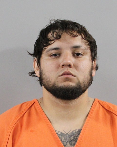 Mugshot of WILLIAM MANUEL RUIZ VIDAL