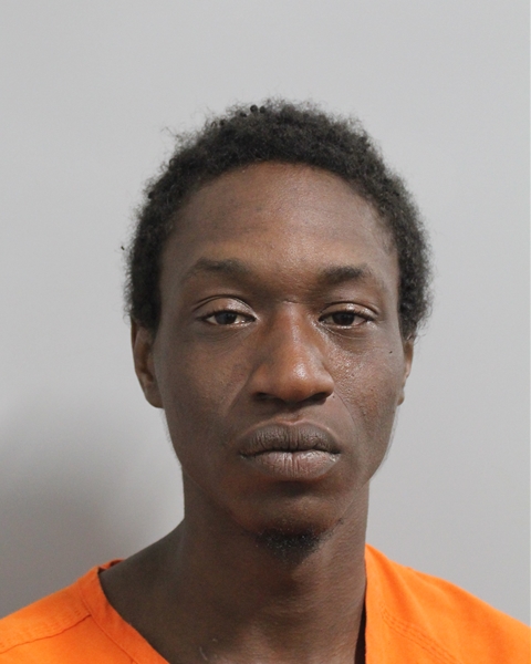 Mugshot of RANDALL LEE OGLETREE