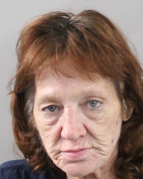 Mugshot of SANDRA HOPE GIBBONS