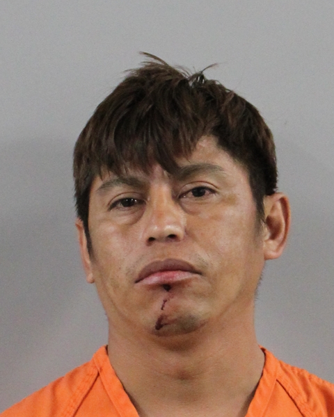 Mugshot of MISAEL ZAMORA