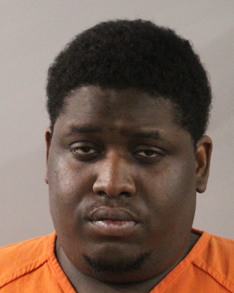 Mugshot of FRANTZDY LAURENT
