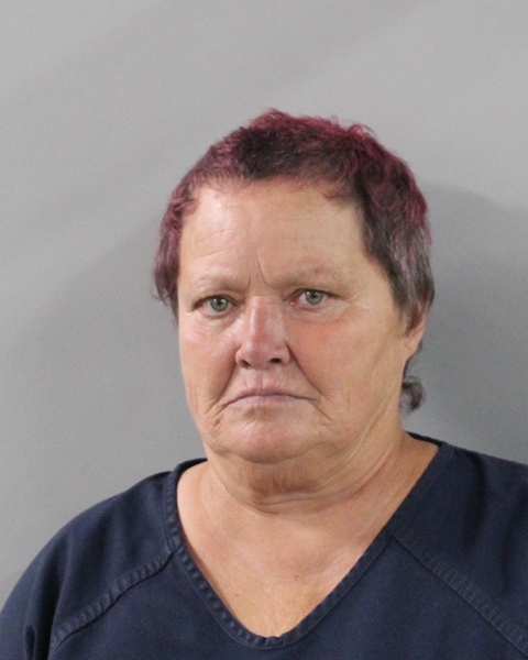 Mugshot of CINDY MASTIN
