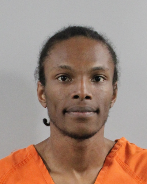 Mugshot of DEAMONTAVESE SANDERS
