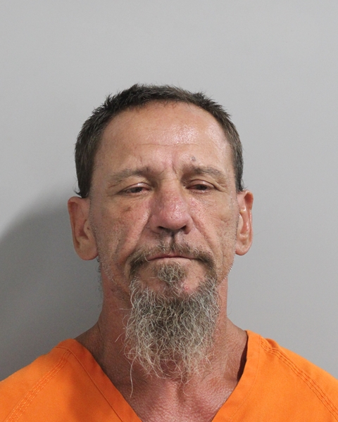 Mugshot of MARK RYAN WIGGINS
