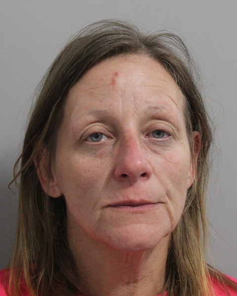 Mugshot of AMY MICHELLE MOUISSET