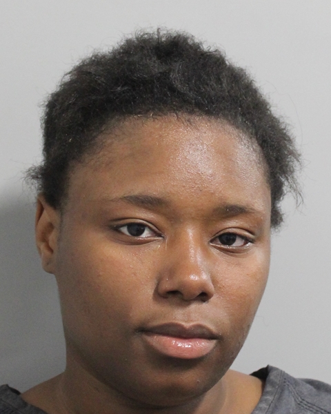 Mugshot of SHANIKA LILNETA WILLIAMS