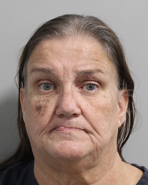 Mugshot of LISA LYNN GLENN