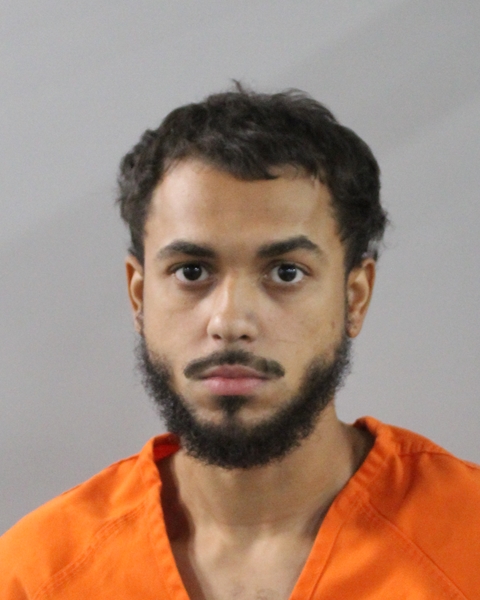 Mugshot of DAMION DIAZ