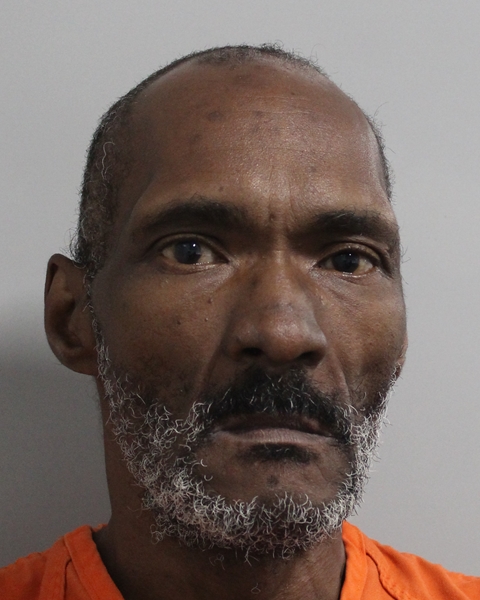 Mugshot of TORIN WADDELL