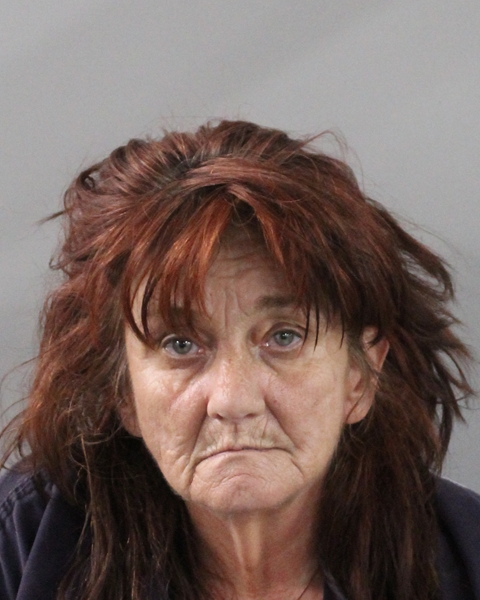 Mugshot of TESS LENELL DAVIS