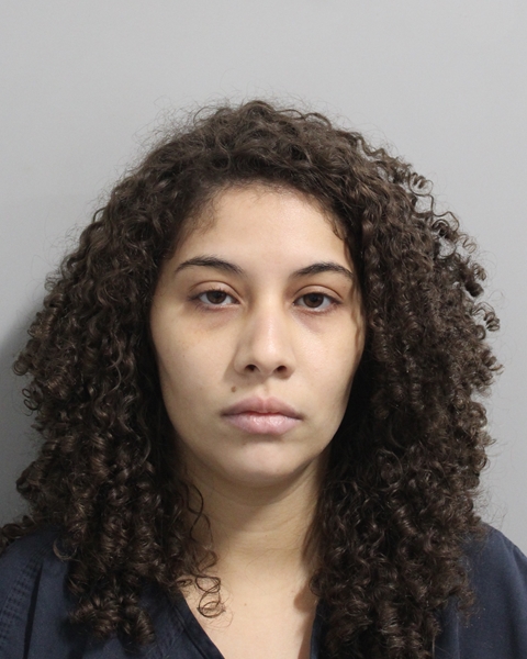 Mugshot of YARYMALIS E SOTOMAYOR