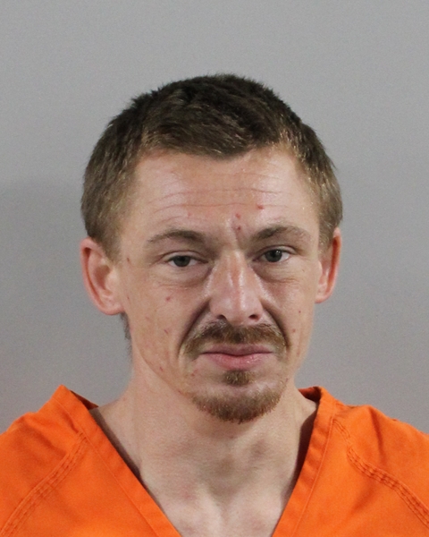 Mugshot of DANIEL L FEHRINGER