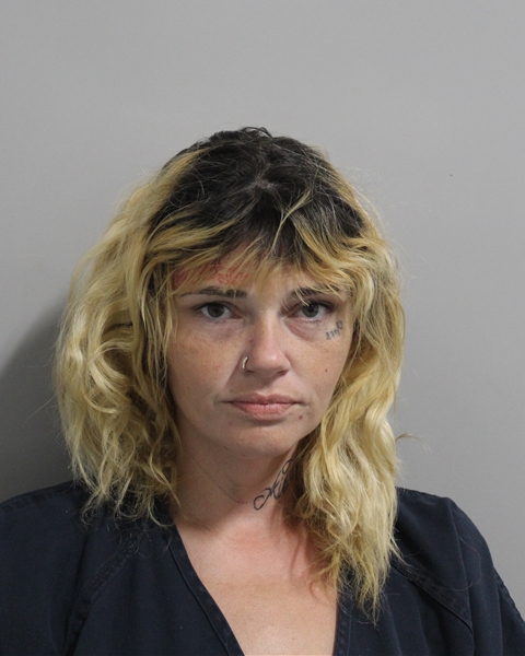 Mugshot of JADE BREAUNA BREEDING