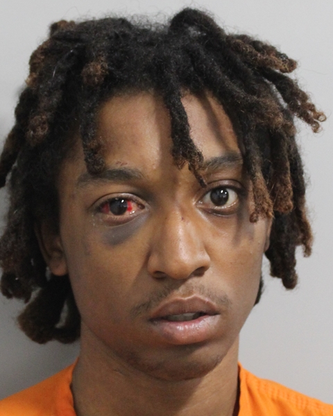 Mugshot of LAMEAR TREVAN FIELDS