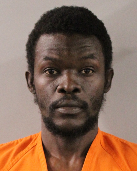 Mugshot of JAMESON CHERUBIN