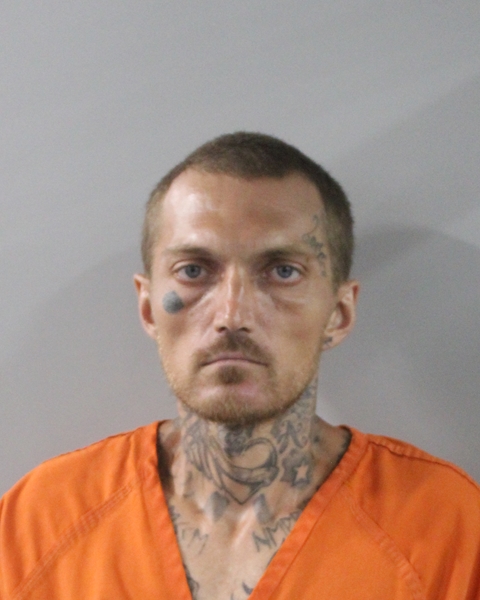 Mugshot of BRANDEN M COLE