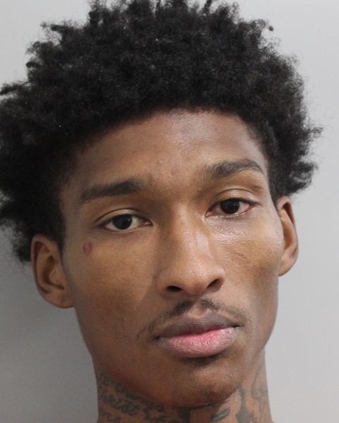 Mugshot of WESLEY R BOURNE