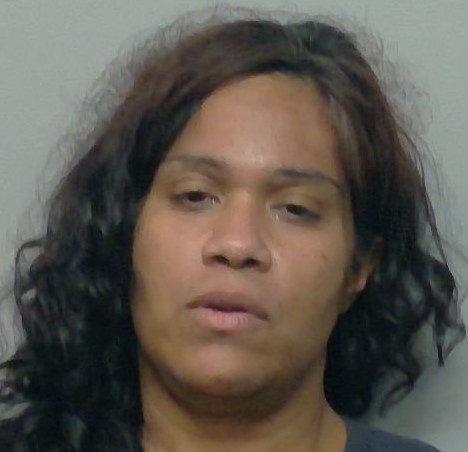 Mugshot of WILMARIE AGOSTO VELEZ