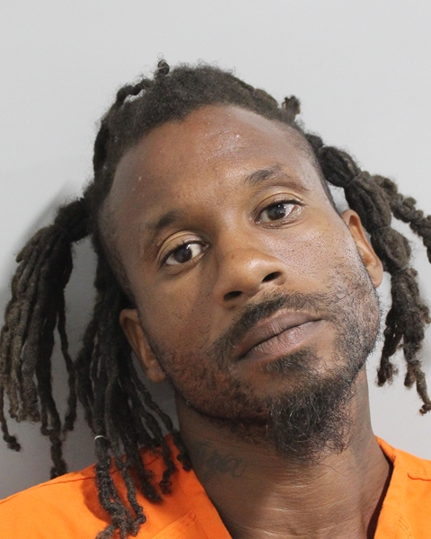 Mugshot of RAYMOND LEE DRAWHORN