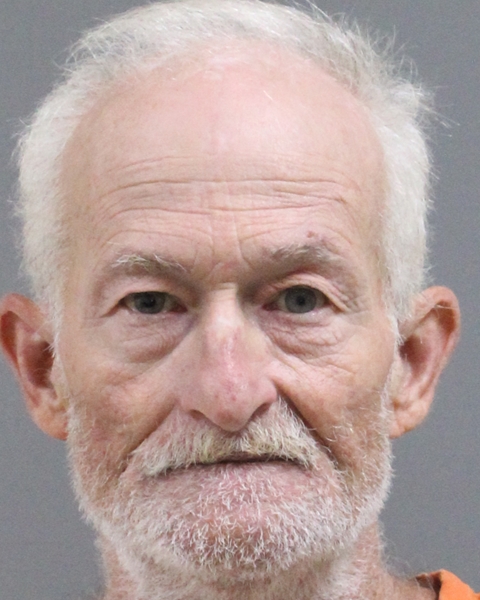 Mugshot of GARY L DANN
