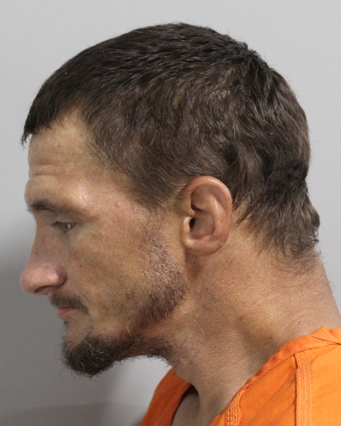 Mugshot of DAVID ALAN AVARD