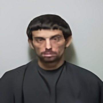 Mugshot of JUSTIN ANTHONY PALERINO