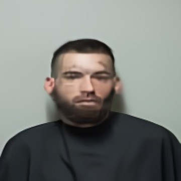 Mugshot of ROBERT ALOIS LIEBL LANIGAN