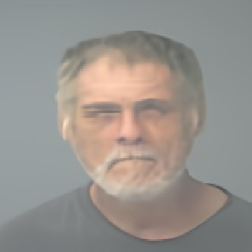 Mugshot of WAYNE MITCHELL POWERS